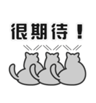 せねこ 12 -SENEKO 12- 台湾華語（個別スタンプ：3）