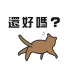 せねこ 12 -SENEKO 12- 台湾華語（個別スタンプ：35）