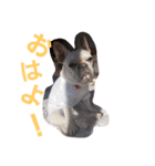 まるこのきもち（個別スタンプ：2）