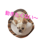 まるこのきもち（個別スタンプ：6）