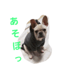 まるこのきもち（個別スタンプ：7）
