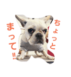 まるこのきもち（個別スタンプ：8）