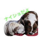 まるこのきもち（個別スタンプ：9）