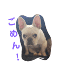 まるこのきもち（個別スタンプ：10）