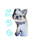 まるこのきもち（個別スタンプ：14）