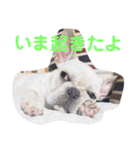 まるこのきもち（個別スタンプ：15）