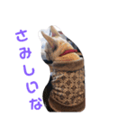 まるこのきもち（個別スタンプ：17）