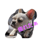 まるこのきもち（個別スタンプ：21）