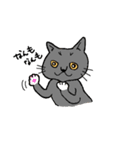 道産子ねこ（個別スタンプ：5）