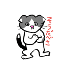 道産子ねこ（個別スタンプ：8）