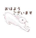 リアカワうさぎ（個別スタンプ：1）