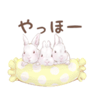 リアカワうさぎ（個別スタンプ：3）