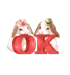 リアカワうさぎ（個別スタンプ：4）