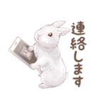 リアカワうさぎ（個別スタンプ：8）