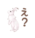 リアカワうさぎ（個別スタンプ：9）