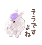 リアカワうさぎ（個別スタンプ：13）