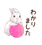 リアカワうさぎ（個別スタンプ：14）