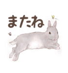 リアカワうさぎ（個別スタンプ：15）