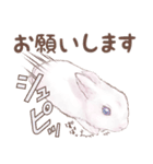 リアカワうさぎ（個別スタンプ：18）