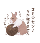 リアカワうさぎ（個別スタンプ：19）