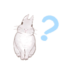 リアカワうさぎ（個別スタンプ：21）