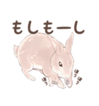リアカワうさぎ（個別スタンプ：22）