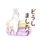リアカワうさぎ（個別スタンプ：23）