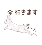 リアカワうさぎ（個別スタンプ：24）
