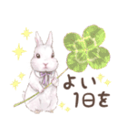 リアカワうさぎ（個別スタンプ：27）