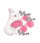 リアカワうさぎ（個別スタンプ：28）
