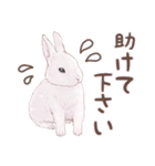 リアカワうさぎ（個別スタンプ：30）