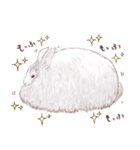 リアカワうさぎ（個別スタンプ：34）