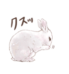 リアカワうさぎ（個別スタンプ：35）