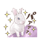 リアカワうさぎ（個別スタンプ：38）