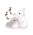 リアカワうさぎ（個別スタンプ：39）
