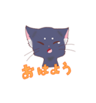 僕は賢い猫？なのです。（個別スタンプ：1）