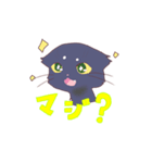 僕は賢い猫？なのです。（個別スタンプ：3）