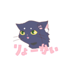 僕は賢い猫？なのです。（個別スタンプ：6）