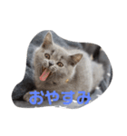 ぽてぐみスタンプ（個別スタンプ：1）