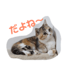 ぽてぐみスタンプ（個別スタンプ：4）