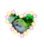 癒し動物（個別スタンプ：2）
