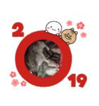 癒し動物（個別スタンプ：3）