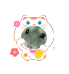 癒し動物（個別スタンプ：5）