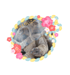 癒し動物（個別スタンプ：6）