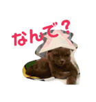 優真会メンバーのほのぼのスタンプ第二弾（個別スタンプ：17）