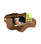 コロコロころすけ（個別スタンプ：6）
