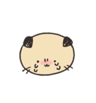 らっこっしゃ（個別スタンプ：34）