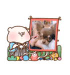 チョコタンチワワ あんこちゃんのお正月（個別スタンプ：11）