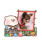チョコタンチワワ あんこちゃんのお正月（個別スタンプ：31）