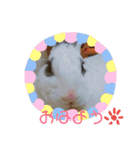 メロンさん①（個別スタンプ：1）